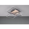 Reality Mobile Ceiling Light LED Wood like finish, black, 1-light source, Remote control