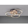 Reality Circle Ceiling Light LED Wood like finish, black, 1-light source, Remote control