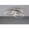 Reality Circle Ceiling Light LED Wood like finish, black, 1-light source, Remote control