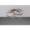 Reality Circle Ceiling Light LED Wood like finish, black, 1-light source, Remote control