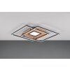Trio Via Ceiling Light LED gold, black, 1-light source, Remote control