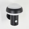 Vinara Outdoor Wall Light LED black, 1-light source, Motion sensor