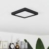 Canditas Ceiling Light LED black, 1-light source