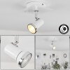Lanrigan Ceiling Light chrome, white, 1-light source