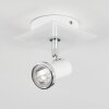 Lanrigan Ceiling Light chrome, white, 1-light source