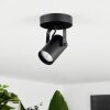 Kergus Ceiling Light black, 1-light source