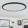 Tamesch Ceiling Light LED black, 1-light source, Remote control