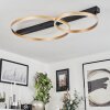 Cajean Ceiling Light LED black, 1-light source
