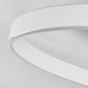 Rosemond Ceiling Light LED white, 1-light source