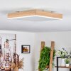Salmi Ceiling Light LED brown, Wood like finish, white, 1-light source