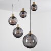 Charlet Pendant Light black, 5-light sources