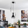 Vijes Pendant Light black, 1-light source
