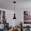 Vijes Pendant Light black, 1-light source