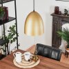 Bakou Pendant Light black, 1-light source