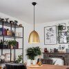 Bakou Pendant Light black, 1-light source