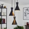 Vijes Pendant Light black, 3-light sources