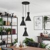 Vijes Pendant Light black, 3-light sources