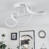 Dauntey Ceiling Light LED white, 1-light source, Remote control