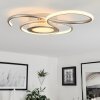 Olok Ceiling Light LED matt nickel, 1-light source, Remote control