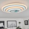 Takok Ceiling Light LED white, 1-light source, Remote control