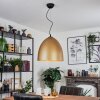Bakou Pendant Light black, 1-light source