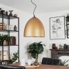 Bakou Pendant Light black, 1-light source