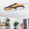 Rodekro Ceiling Light LED Ecru, black, 1-light source
