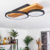 Rodekro Ceiling Light LED Ecru, black, 1-light source
