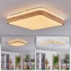 Kayyan Ceiling Light LED white, 1-light source