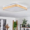 Kayyan Ceiling Light LED white, 1-light source