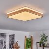 Kayyan Ceiling Light LED white, 1-light source