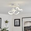 Dauntey Ceiling Light LED white, 1-light source