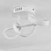 Dauntey Ceiling Light LED white, 1-light source