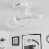 Dauntey Ceiling Light LED white, 1-light source