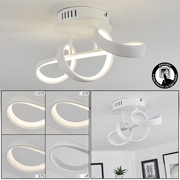 Dauntey Ceiling Light LED white, 1-light source