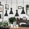 Vijes Pendant Light black, 4-light sources