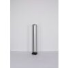 Globo FLIPS Floor Lamp LED black, 1-light source, Remote control
