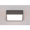 Trio Nestos Outdoor Wall Light LED anthracite, 1-light source
