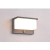 Trio Nestos Outdoor Wall Light LED anthracite, 1-light source, Motion sensor
