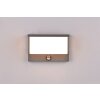 Trio Nestos Outdoor Wall Light LED anthracite, 1-light source, Motion sensor