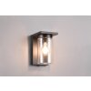 Trio Ardila Outdoor Wall Light black, 1-light source