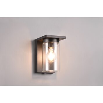 Trio Ardila Outdoor Wall Light black, 1-light source