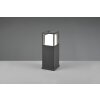 Trio Witham pedestal light LED anthracite, 1-light source