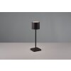 Reality Fernandez Table lamp LED black, 1-light source