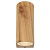 Globo VERONIKA Outdoor Wall Light Wood like finish, 2-light sources
