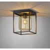 Fischer & Honsel Caydo Ceiling Light black, 1-light source