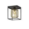 Fischer & Honsel Caydo Ceiling Light black, 1-light source