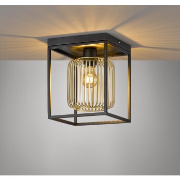 Fischer & Honsel Caydo Ceiling Light black, 1-light source