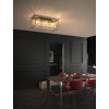 Fischer & Honsel Caydo Ceiling Light black, 3-light sources