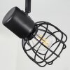 Piment Ceiling Light black, 1-light source